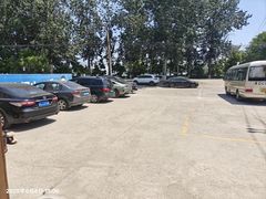 -金台阶鱼馆(于桥水库店)