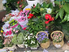 -循礼门鲜花花市(武汉循礼门店)