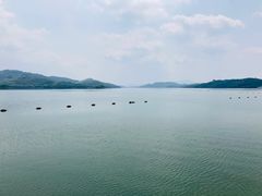 -天目湖山水园