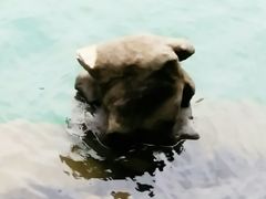 -石燕湖生态旅游景区