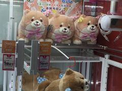 -秋叶原电器街