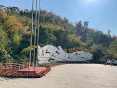 -西双版纳原始森林公园