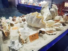 -福州罗源湾海洋世界旅游区