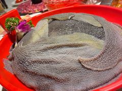 -二荆条·蜀鲜汇城市森林火锅