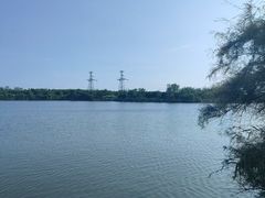 -大港湿地公园