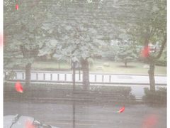 -大叔家福鼎小吃(十全街店)