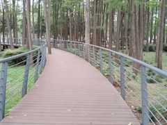 -月湖风景区
