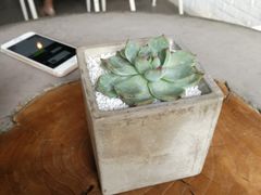 -Tian品