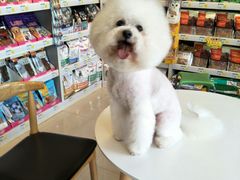 -我爱吾宠宠物美容院(朝阳路店)