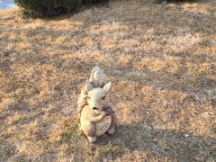 -蓬莱欧乐堡梦幻世界