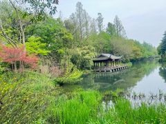 -杭州西子湖四季酒店·金沙厅