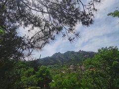 -老张烤羊(王哥庄店)