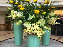 -虹迎轩·中餐厅(虹桥迎宾馆店)