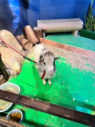 -酷嗒动物文化乐园(cutezoo西溪乐天城店)