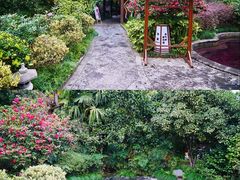 -杭州第一世界大酒店·云曼温泉
