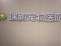 -瑞鹏宠物医院·骨外科·心肾科·肿瘤科(九亭店)