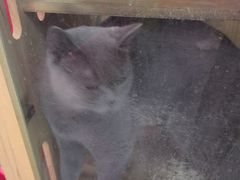 -203密室体验馆·逃脱·聚会·亲子(工体店)