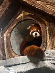 -Zoolung Zoolung动物主题公园(海信广场店)