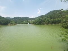 -广州白江湖森林公园