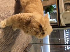 iphone_upload_pic-小时光咖啡馆(开森度假森林店)