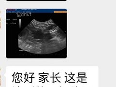 -仁普宠物诊所(住友昌盛新苑店)