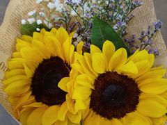 -超享乐剁椒面(元谷店)