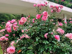 -人民公园(罗湖区)