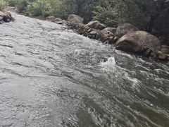 -千岛湖九龙溪漂流