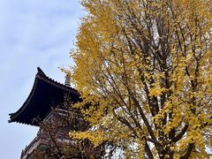 -法门文化景区