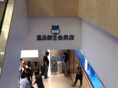 -盒马鲜生(大成店)
