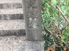 -靖西鹅泉风景区