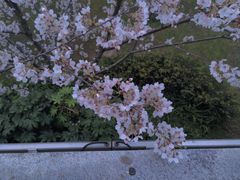 -鸡鸣寺