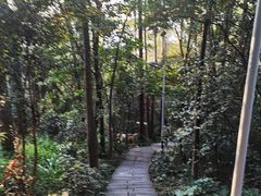 -水濂山森林公园