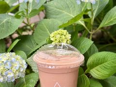 -去茶山(新光里店)
