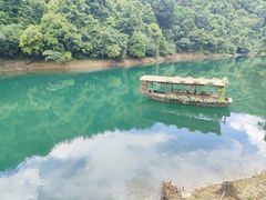 -鼎湖山风景区
