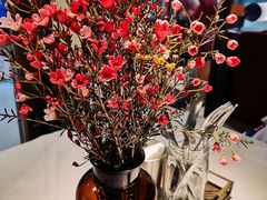 -阿妮叶李(光谷世界城店)