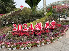 -南山植物园
