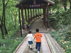 -重庆彩云湖湿地公园
