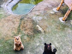 -哈尔滨北方森林动物园