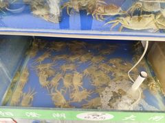 -阳澄湖大闸蟹·琼灵阁牌品牌连锁(吴中总店)