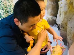 -MR.ZOO小小动物元室内动物园(沈阳沈河盛京中心)
