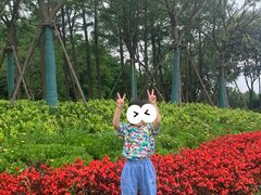 -春花秋色城市公园