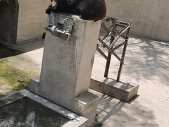 -保定市动物园