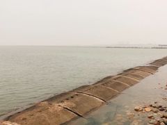 -东疆建设开发纪念公园