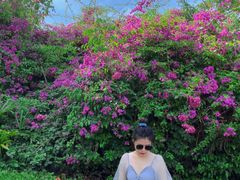 -三亚海棠湾万丽度假酒店