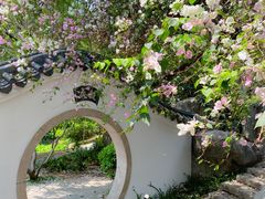 -深圳国际园林花卉博览园