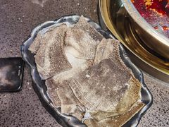 -渝宗老灶火锅(巴国城店)