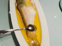 鸡油蒸白水鱼-漢舍中国菜馆(889广场店)
