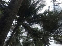 -Epic Boracay