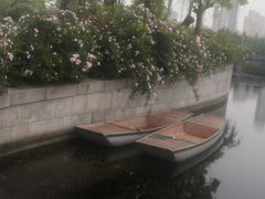 -尚贤河湿地